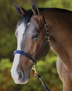 PUSHKAR INTL Suffolk™ Leather & Rope Halter with Lead- Halters