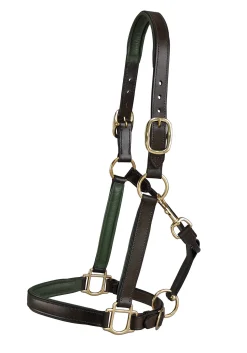 KINGS INTERNATIONAL Suffolk™ Lined Halter- Halters