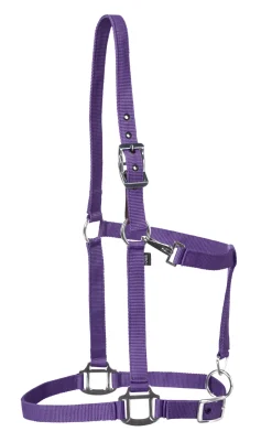 TEXT HORSE Suffolk™ Nylon Breakaway Halter- Halters