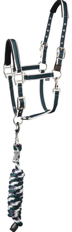 TEXT HORSE Suffolk™ Padded Striped Breakaway Halter & Lead- Halters