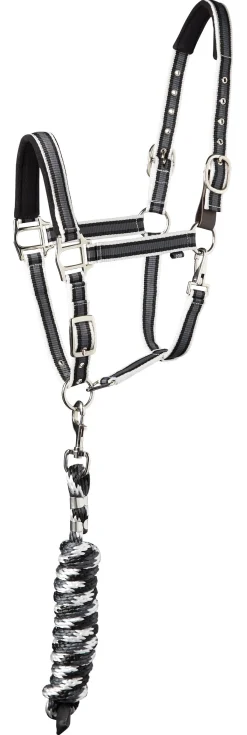 TEXT HORSE Suffolk™ Padded Striped Breakaway Halter & Lead- Halters