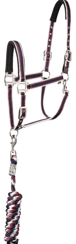 TEXT HORSE Suffolk™ Padded Striped Breakaway Halter & Lead- Halters