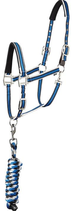 TEXT HORSE Suffolk™ Padded Striped Breakaway Halter & Lead- Halters
