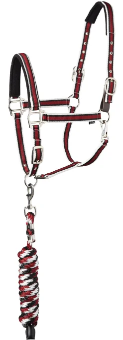 TEXT HORSE Suffolk™ Padded Striped Breakaway Halter & Lead- Halters
