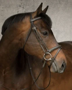 KINGS INTERNATIONAL Suffolk™ Single Crown Flash Bridle- English Bridles
