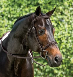 KINGS INTERNATIONAL Suffolk™ Single Crown Hunter Bridle- English Bridles