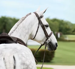 KINGS INTERNATIONAL Suffolk™ Single Crown Hunter Bridle- English Bridles