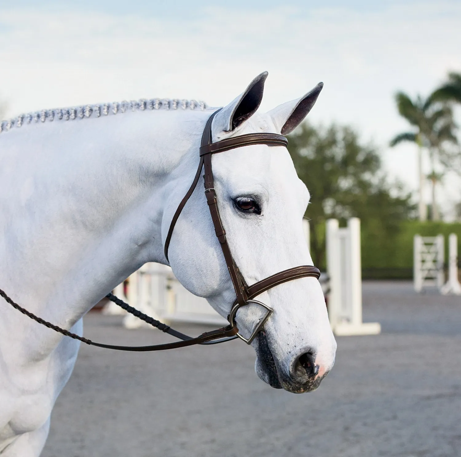 KINGS INTERNATIONAL Suffolk™ Single Crown Hunter Bridle- English Bridles