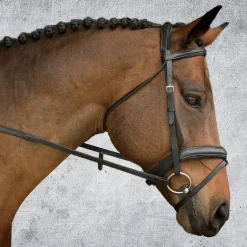 KINGS INTERNATIONAL Suffolk™ Single Crown Padded Dressage Bridle- English Bridles