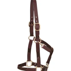 KINGS INTERNATIONAL Suffolk™ Web Halter- Halters