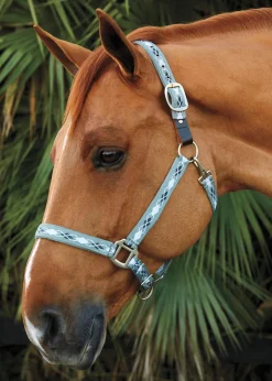 TEXT HORSE Suffolk™ Woven Argyle Breakaway Halter- Halters