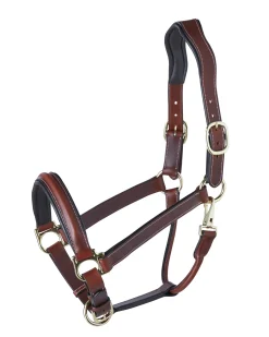 PUSHKAR INTL Suffolk™ Ergonomic Halter- Halters