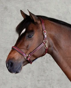 PUSHKAR INTL Suffolk™ Ergonomic Halter- Halters