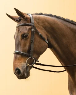 KINGS INTERNATIONAL Suffolk™ Single Crown Classic Dressage Bridle- English Bridles