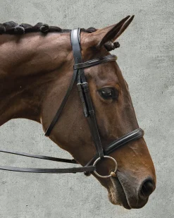 KINGS INTERNATIONAL Suffolk™ Single Crown Classic Dressage Bridle- English Bridles