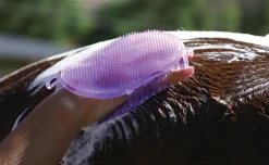 PROFESSIONALS CHOICE Tail Tamers® Jelly Scrubber Mitt- Bathing Tools|Brushes & Hoof Picks