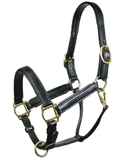 TORY LEATHER Company Padded Leather Halter- Halters