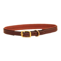 TORY LEATHER Padded Dog Collar- Collars & Leashes
