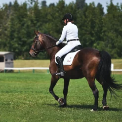 UNBELTS Unbelt- Belts