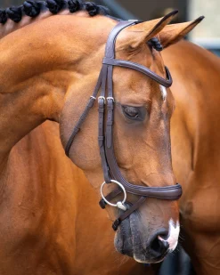SHIRES EQUESTRIAN Velociti Lusso Ergonomic Curved Flash Bridle- English Bridles