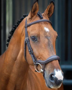 SHIRES EQUESTRIAN Velociti Lusso Ergonomic Flash Bridle- English Bridles