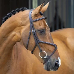 SHIRES EQUESTRIAN Velociti Lusso Grackle Bridle- English Bridles
