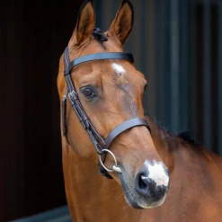 SHIRES EQUESTRIAN Velociti Lusso Hunter Caveson Bridle- English Bridles