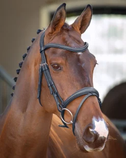 SHIRES EQUESTRIAN Velociti Lusso Padded Raised Flash Bridle- English Bridles