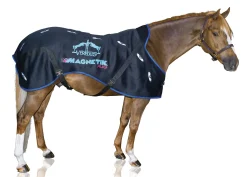 ERS Veredus® Magnetik Stable Sheet- Stable Sheets