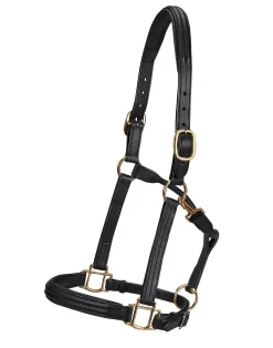 WORLD EQUSTRN BRNDS Vespucci Double Raised Halter- Halters