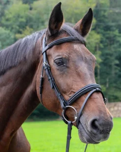 WORLD EQUSTRN BRNDS Vespucci Dressage Double Raised Snaffle Bridle- English Bridles