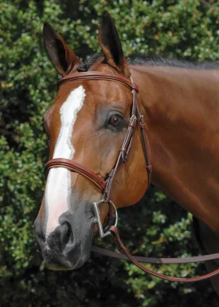 WORLD EQUSTRN BRNDS Vespucci Fancy Raised Hunter Bridle- English Bridles