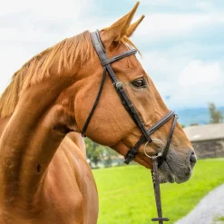 WORLD EQUSTRN BRNDS Vespucci Plain Raised Jump Bridle- English Bridles