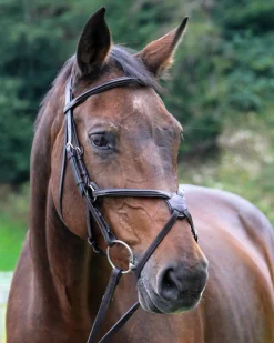 WORLD EQUSTRN BRNDS Vespucci Square Raised Figure-8 Bridle- English Bridles