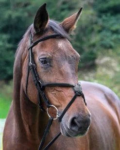 WORLD EQUSTRN BRNDS Vespucci Square Raised Figure-8 Bridle- English Bridles