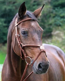 WORLD EQUSTRN BRNDS Vespucci Square Raised Figure-8 Bridle- English Bridles