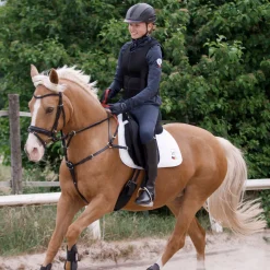 WALDHAUSEN Secutrust Breastplate with Safety Reins- Martingales & Breastplates