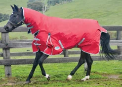 WEATHERBEETA ® ComFiTec™ Classic Combo Neck Lite- Turnout Blankets