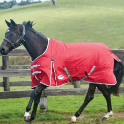 WEATHERBEETA ® ComFiTec™ Classic Standard Neck Lite- Turnout Sheets