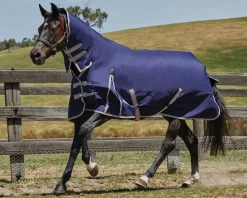 WEATHERBEETA ® ComFiTec™ Essential Combo Neck Medium-Weight Turnout Blanket- Turnout Blankets