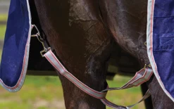 WEATHERBEETA ® ComFiTec™ Essential Standard Neck Heavyweight Turnout- Turnout Blankets