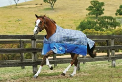 WEATHERBEETA ® ComFiTec™ Free Standard Neck Medium Weight Turnout Blanket- Turnout Blankets