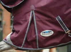 WEATHERBEETA ® ComFiTec™ Plus Dynamic II Standard Neck Medium-Weight Turnout Blanket- Turnout Blankets