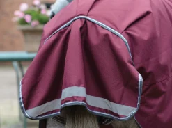 WEATHERBEETA ® ComFiTec™ Plus Dynamic II Standard Neck Medium-Weight Turnout Blanket- Turnout Blankets