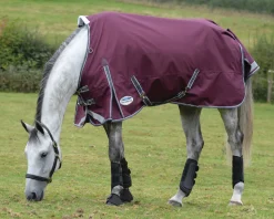 WEATHERBEETA ® ComFiTec™ Plus Dynamic II Standard Neck Medium-Weight Turnout Blanket- Turnout Blankets