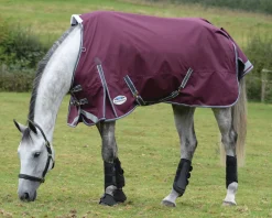 WEATHERBEETA ® ComFiTec™ Plus Dynamic II Standard Neck Lite Turnout- Turnout Blankets