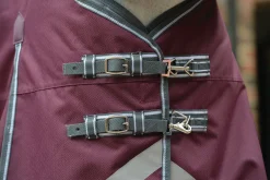 WEATHERBEETA ® ComFiTec™ Plus Dynamic II Standard Neck Lite Turnout- Turnout Blankets