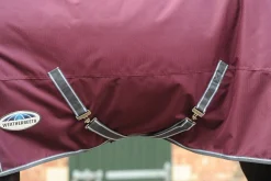 WEATHERBEETA ® ComFiTec™ Plus Dynamic II Standard Neck Lite Turnout- Turnout Blankets
