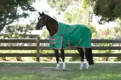 WEATHERBEETA ® ComFiTec™ Prelim Standard Neck Lite Turnout- Turnout Sheets