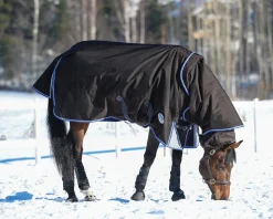 WEATHERBEETA ® ComFiTec™ Ultra Cozi II Detach-A-Neck Medium-Weight Turnout Blanket- Turnout Blankets